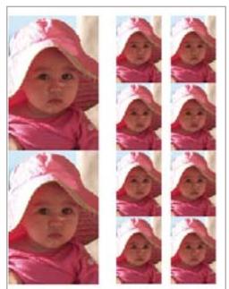 ADOBE PHOTOSHOP ELEMENTS 6 - Impression d'une collection d/images - 1