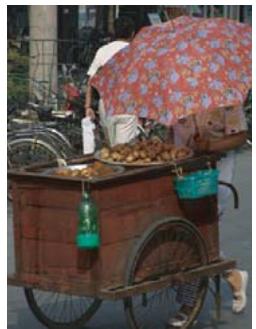 ADOBE PHOTOSHOP ELEMENTS 6 - Réglage de la saturation de zones isolées - 1