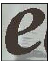 ADOBE PHOTOSHOP ELEMENTS 6 - Options de l'outil Texte - 2