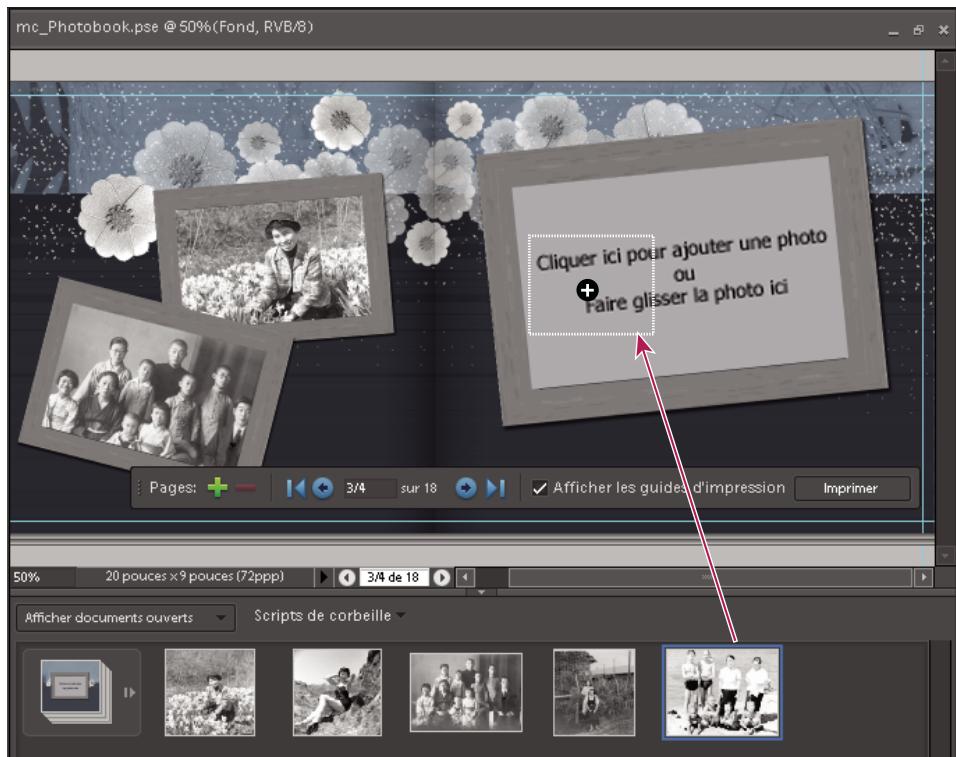ADOBE PHOTOSHOP ELEMENTS 6 - Création d'un catalogue de photos - 1