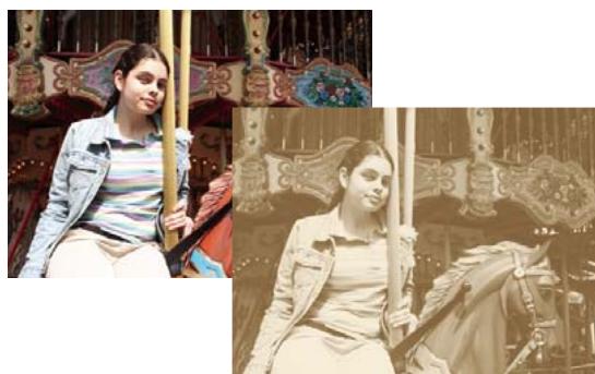 ADOBE PHOTOSHOP ELEMENTS 6 - Application du filtré Courbe de transfert de dégradé - 1