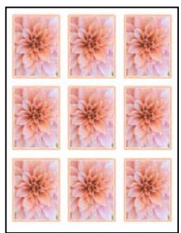 ADOBE PHOTOSHOP ELEMENTS 6 - Présentation de l'impression - 4