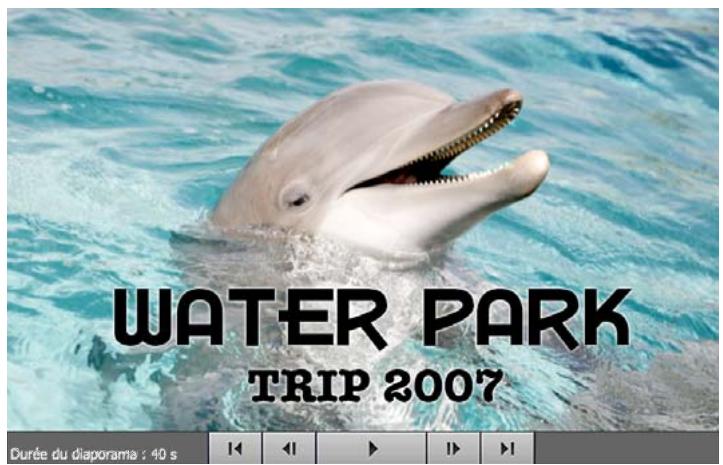 ADOBE PHOTOSHOP ELEMENTS 6 - Création et partage de projets photo - 3