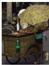 ADOBE PHOTOSHOP ELEMENTS 6 - Réglage de la saturation et de la teinte - 3