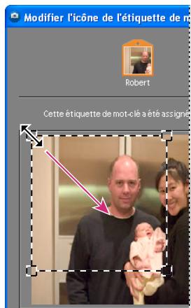 ADOBE PHOTOSHOP ELEMENTS 6 - Modification de l'icone d'une étiquette - 1