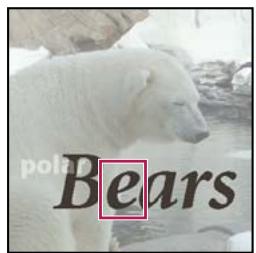 ADOBE PHOTOSHOP ELEMENTS 6 - Options de l'outil Texte - 1