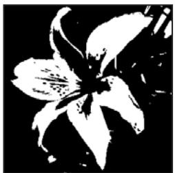 ADOBE PHOTOSHOP ELEMENTS 6 - Conversion d'une image en mode Bitmap - 2