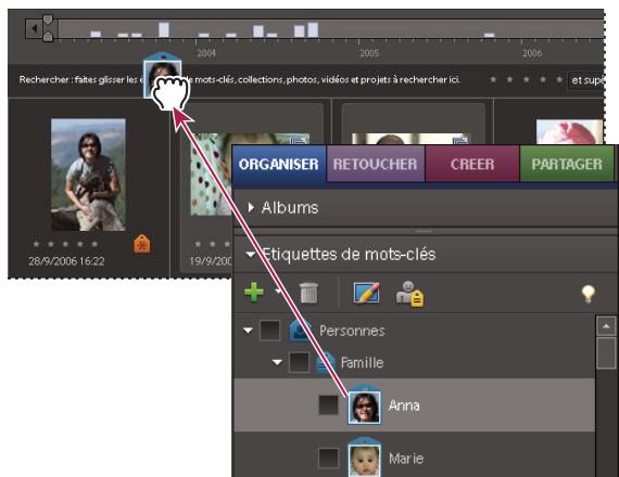 ADOBE PHOTOSHOP ELEMENTS 6 - Recherche depuis la barre de recherche - 1