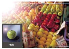 ADOBE PHOTOSHOP ELEMENTS 6 - A propos des filtres - 1