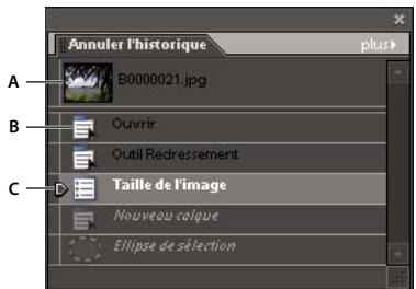 ADOBE PHOTOSHOP ELEMENTS 6 - Utilisation de la palette Annuler l'historique (Editeur) - 1