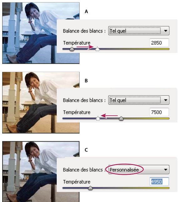 ADOBE PHOTOSHOP ELEMENTS 6 - Commandes de la balance des blancs pour les fichiers Camera Raw - 1
