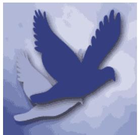 ADOBE PHOTOSHOP ELEMENTS 6 - A propos du format PNG-8 - 2