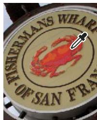 ADOBE PHOTOSHOP ELEMENTS 6 - Ajout d'une couleur à la palette Nuancier - 1