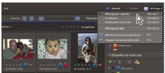 ADOBE PHOTOSHOP ELEMENTS 6 - A propos de la bande de montage - 2