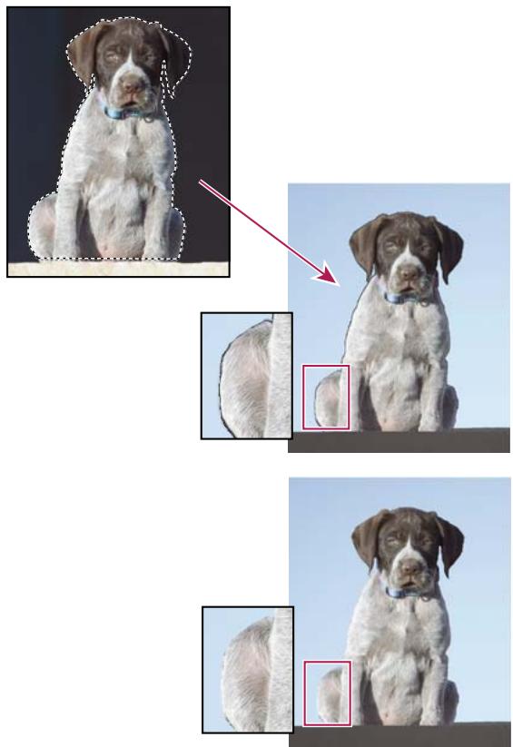 ADOBE PHOTOSHOP ELEMENTS 6 - Suppression de la frange dans une seLECTION - 1