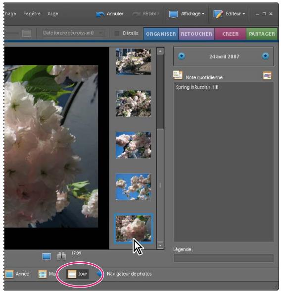 ADOBE PHOTOSHOP ELEMENTS 6 - Modification des photos affichées à une date donnée - 1