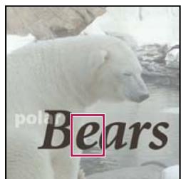 ADOBE PHOTOSHOP ELEMENTS 6 - Options de l'outil Texte - 3