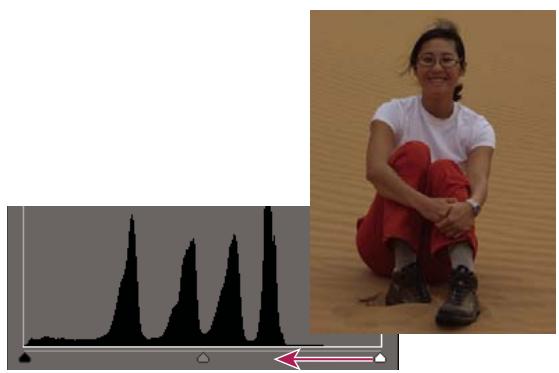 ADOBE PHOTOSHOP ELEMENTS 6 - Réglage des tons fonçés et de la luminosité à l'aide des niveaux - 1