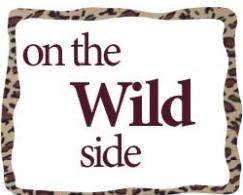 ADOBE PHOTOSHOP ELEMENTS 6 - Déformation de texte - 1