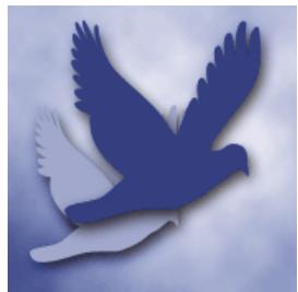 ADOBE PHOTOSHOP ELEMENTS 6 - A propos du format PNG-8 - 1