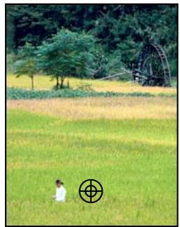 ADOBE PHOTOSHOP ELEMENTS 6 - Correction des imperfections importantes - 1