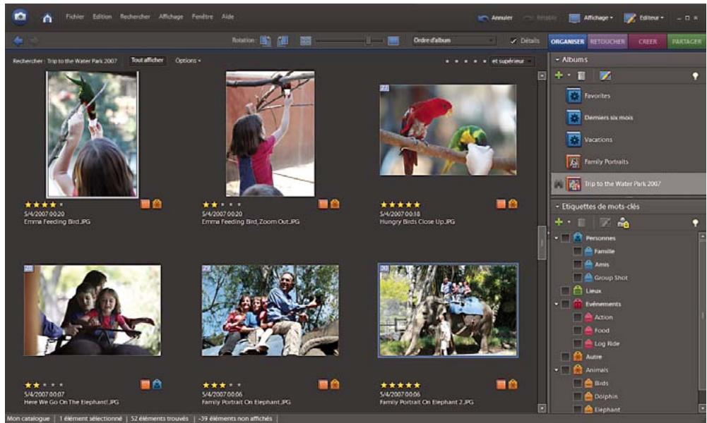 ADOBE PHOTOSHOP ELEMENTS 6 - Importation et organisation des photos - 2