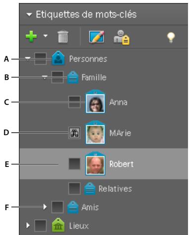 ADOBE PHOTOSHOP ELEMENTS 6 - Utilisation de la palette Etiquettes de mots-clés - 1