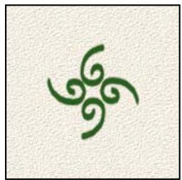 ADOBE PHOTOSHOP ELEMENTS 6 - A propos des options de forme - 12