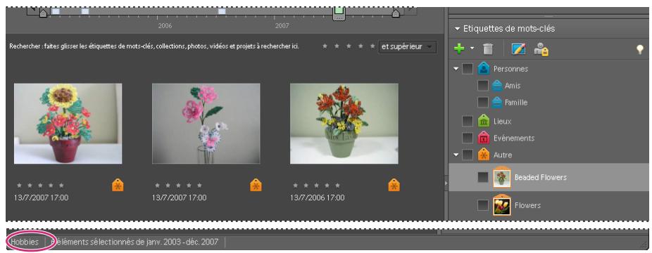 ADOBE PHOTOSHOP ELEMENTS 6 - A propos des catalogues - 3