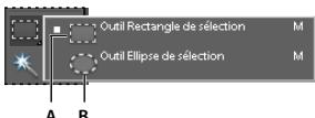 ADOBE PHOTOSHOP ELEMENTS 6 - Utilisation des outils Rectangle de sélection et Ellipse de sélection - 1