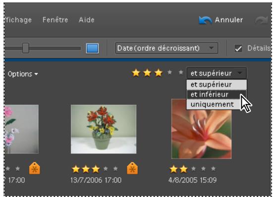 ADOBE PHOTOSHOP ELEMENTS 6 - Recherche des éléments associés à un nombre d'étoiles - 1
