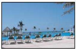 ADOBE PHOTOSHOP ELEMENTS 6 - Collage d'une seLECTION dans une autre - 2