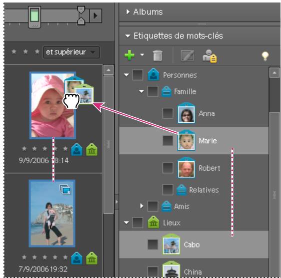ADOBE PHOTOSHOP ELEMENTS 6 - Association d'étiquettes aux photos - 1