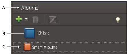 ADOBE PHOTOSHOP ELEMENTS 6 - A propos des albums dynamiques - 1