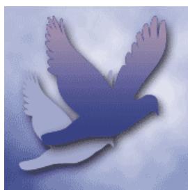 ADOBE PHOTOSHOP ELEMENTS 6 - A propos du tramage - 2