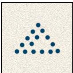 ADOBE PHOTOSHOP ELEMENTS 6 - A propos des options de forme - 2