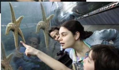 ADOBE PHOTOSHOP ELEMENTS 6 - Duplication des images ou des zones d'une image - 2