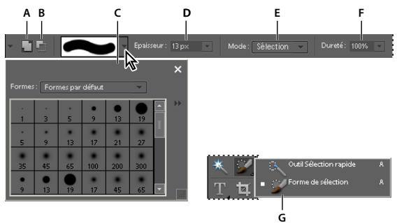 ADOBE PHOTOSHOP ELEMENTS 6 - Utilisation de l'outil Forme de selection - 1