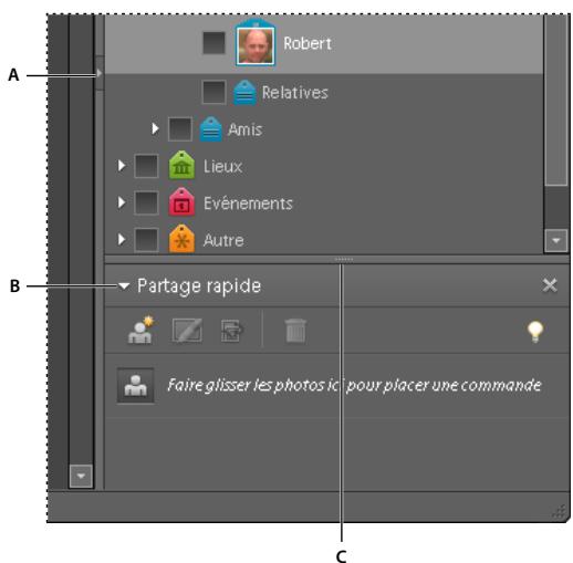 ADOBE PHOTOSHOP ELEMENTS 6 - Utilisation des palettes de l'onglet Organiser - 1