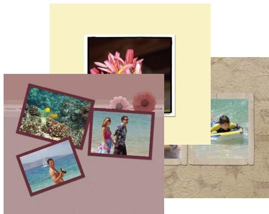 ADOBE PHOTOSHOP ELEMENTS 6 - A propos des catalogues de photos - 1
