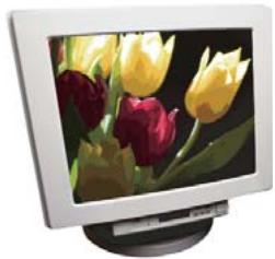 ADOBE PHOTOSHOP ELEMENTS 6 - A propos des modes de couleur des images - 3