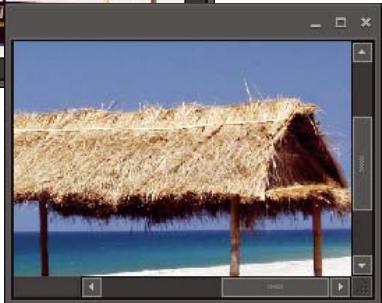 ADOBE PHOTOSHOP ELEMENTS 6 - Agrandissement ou réduction de l'image - 2