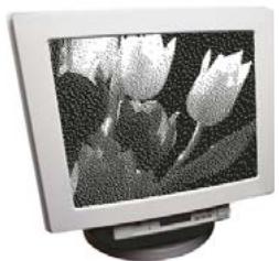 ADOBE PHOTOSHOP ELEMENTS 6 - A propos des modes de couleur des images - 1