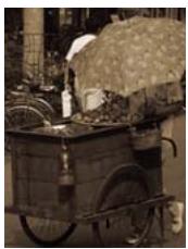 ADOBE PHOTOSHOP ELEMENTS 6 - Réglage de la saturation et de la teinte - 2