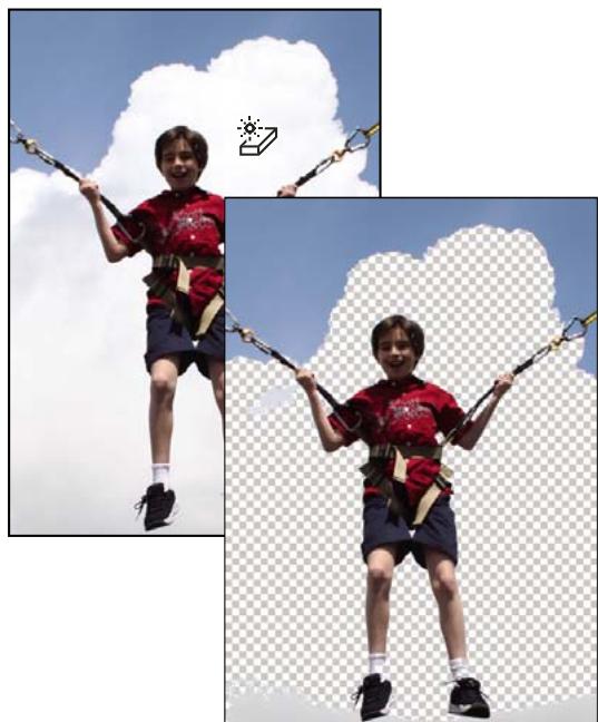 ADOBE PHOTOSHOP ELEMENTS 6 - Utilisation de l'outil Gomme magique - 1