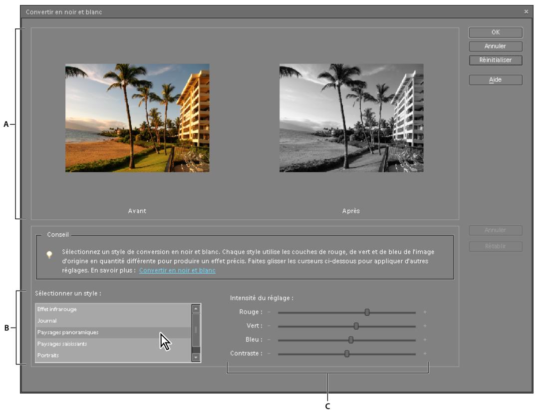 ADOBE PHOTOSHOP ELEMENTS 6 - Conversion précise des images en noir et blanc - 1
