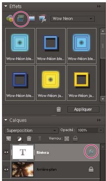 ADOBE PHOTOSHOP ELEMENTS 6 - Application d'un style de calque - 1