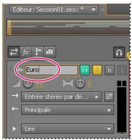 ADOBE AUDITION CS5.5 - Attribution d'un nom à chaque piste et déplacement de pistes - 1