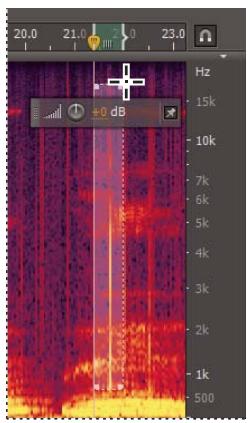 ADOBE AUDITION CS5.5 - Techniques de restauration de données audio - 2