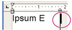 ADOBE DIRECTOR 11.5 - Créer des acteurs texte dans la fenêtre Texte - 2